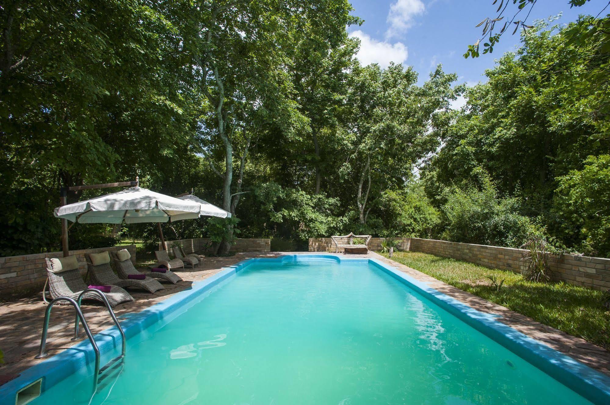 Selous Kinga Lodge Kwangwazi Buitenkant foto